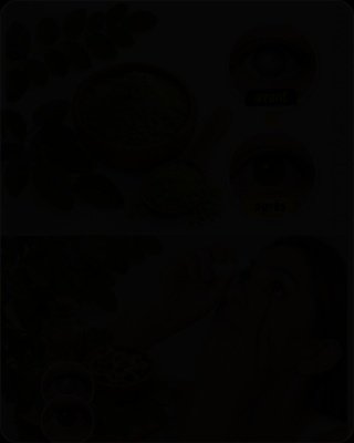 Le Pouvoir Oublié : 14 Bienfaits Miraculeux de la Feuille de Moringa Que Personne Ne Vous Dit (Et Pourquoi Il Faut Agir Maintenant !) 🌱