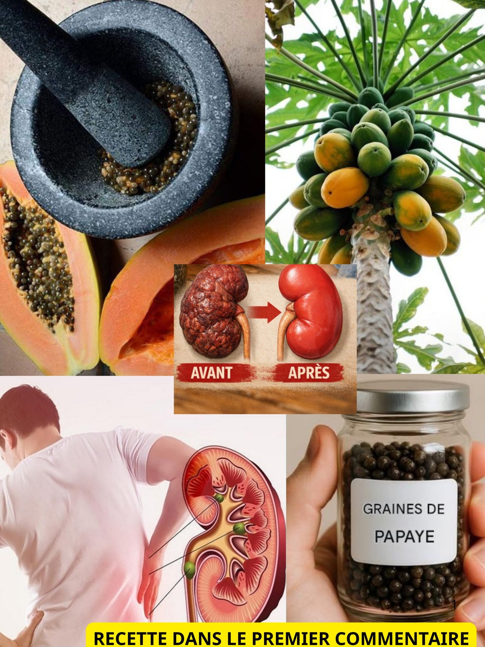 Le Secret Que Vous Jetez Chaque Jour : 5 Raisons Choc d'Intégrer les Graines de Papaye à Votre Vie !