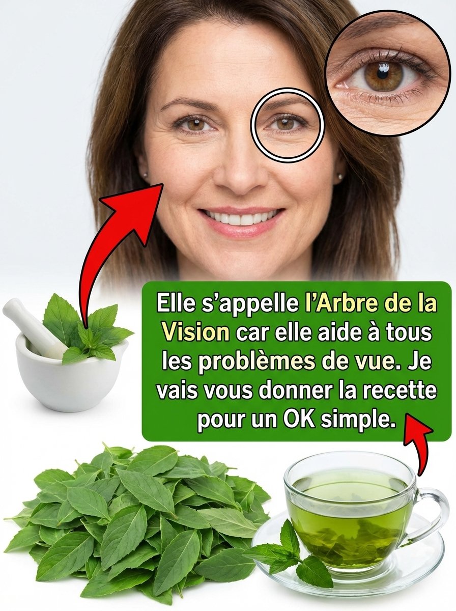Le Pouvoir Caché de l'Origane : 5 Raisons de l'Adopter pour une Vision Nette et des Yeux Protégés AVANT QU'IL NE SOIT TROP TARD !