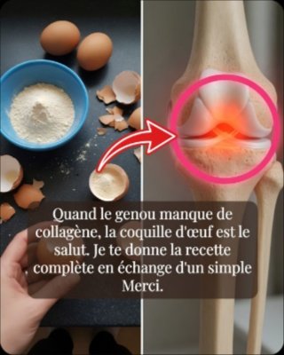 Jetez-vous vos coquilles d'œufs ? STOP ! Ce 'déchet' est le secret INSOUPÇONNÉ pour des os en béton et une vitalité décuplée !