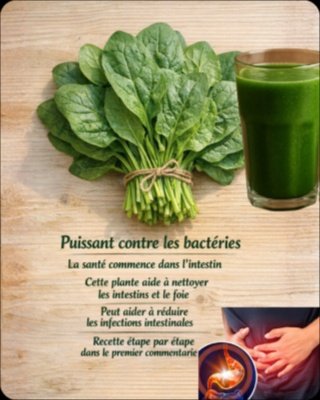 Le Secret Viral de l'Épinard : Détoxifiez Votre Foie et Vos Intestins en SEULEMENT 7 Jours et Retrouvez une Énergie Incroyable !
