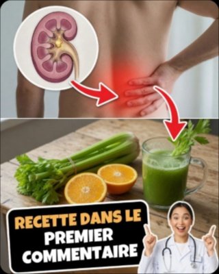 Un Seul Jus Pour Tout Nettoyer ? Ce Secret Détox Révolutionnaire Va Transformer Vos Reins, Foie et Poumons !