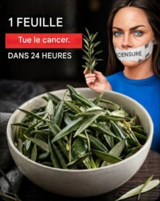 Le Secret Millénaire Oublié de l'Olivier : 6 Raisons Étonnantes de L'Intégrer à Votre Quotidien pour une Vitalité Inégalée !