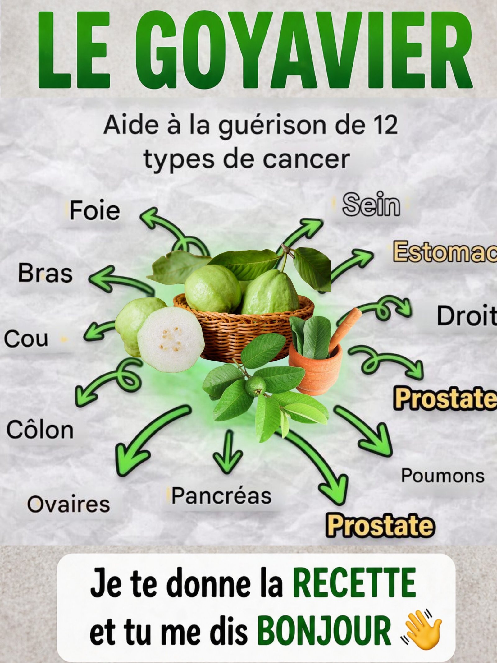 Révélation Choc : Ce Fruit Tropical Méconnu Pulvérise Votre Taux de Sucre Sanguin (Ne Manquez Pas Cette Solution Naturelle !)