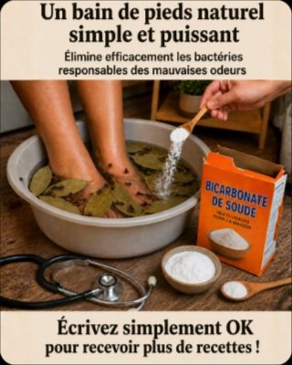Ce Rituel Secret au Laurier Transforme Votre Sommeil et Élimine Stress et Douleurs en 20 Min ! (Ne Manquez Pas Ça)