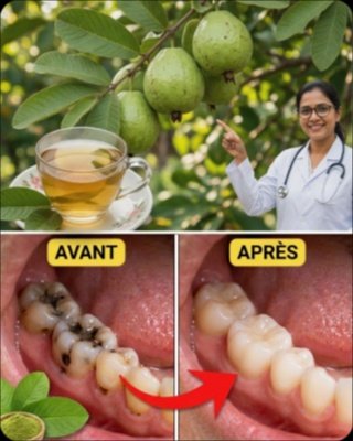 Le Secret OUBLIÉ pour des Dents SANS CARIES ? Découvrez 3 Remèdes MIRACLES aux Feuilles de Goyave AVANT qu'il ne soit trop tard !