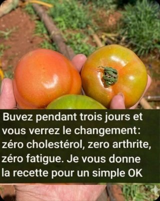 Révélation : Cette Boisson Naturelle aux 5 Ingrédients VA Transformer Votre Cholestérol et Éteindre l'Inflammation !