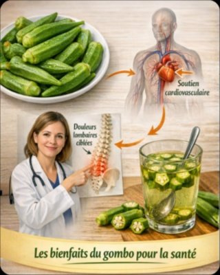 Le Gombo : Le Secret "Gluant" Que TOUT LE MONDE Devrait Connaître Après 45 Ans pour une Énergie et une Digestion de Rêve !