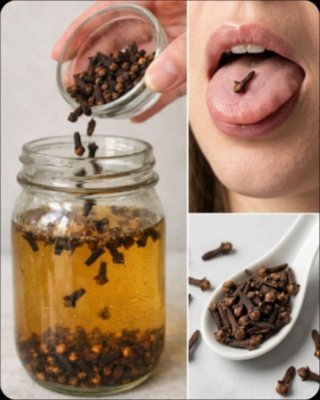 Révélation Choc : Ne Buvez Plus Jamais d'Eau Simple Sans Connaître Ces 7 Secrets de l'Eau de Clou de Girofle Pour une Santé de Fer !