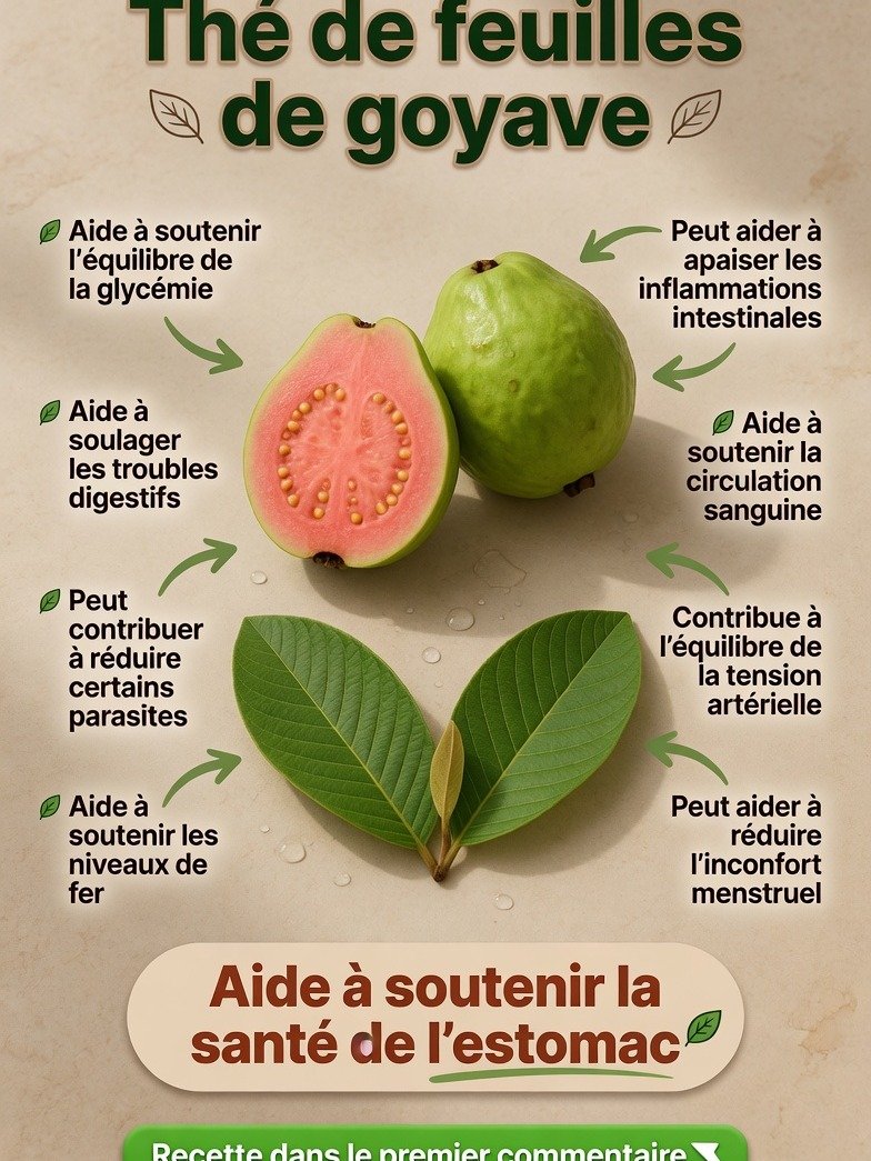 Le Secret Millénaire Révélé : La Boisson Naturelle aux 5 Pouvoirs Incroyables que Vous Devez Absolument Boire pour Transformer Votre Santé !