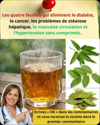 Le Secret Millénaire Révélé : 4 Feuilles Incroyables Que Vous Devez Absolument Connaître Pour Transformer Votre Santé !