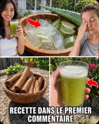 Le Secret Ancestral Oublié : Cette Boisson Simple Va Rajeunir Vos Yeux et Revitaliser Votre Corps en Quelques Semaines !
