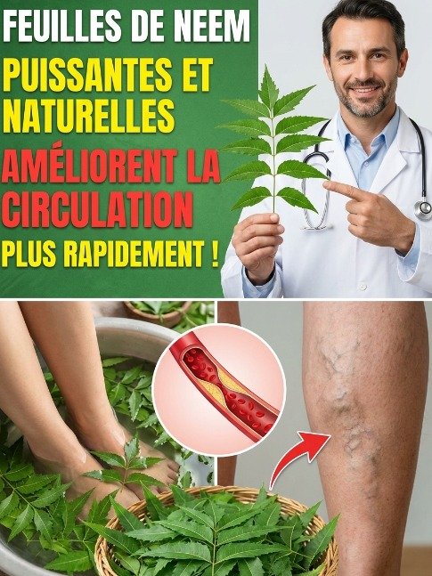Le Neem au Quotidien : L'erreur FATALE que tout le monde fait (et 7 astuces pour l'éviter SANS risque) !