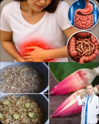 La Fleur de Bananier : Le Secret Naturel Inconnu Qui Pourrait Éradiquer Votre Diabète, Hypertension et Douleurs d'Estomac (Vous DEVEZ Savoir Ça !)
