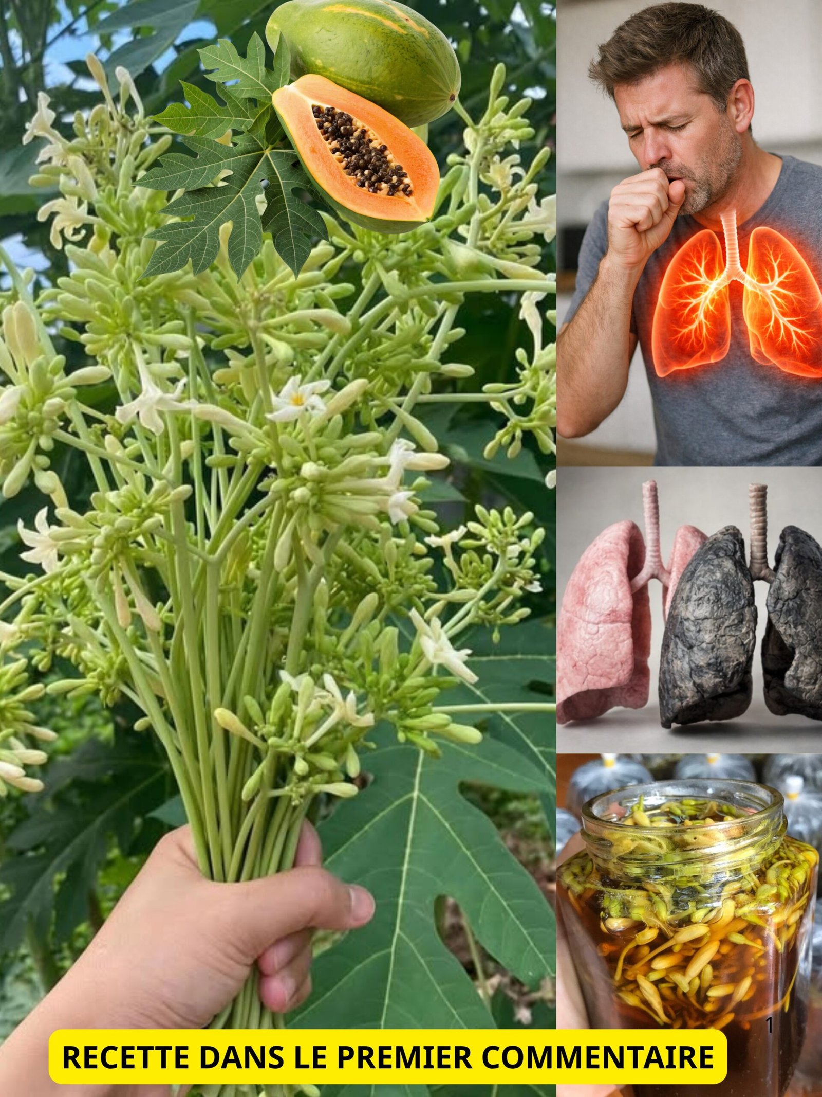 Le TRÉSOR CACHÉ qui va changer votre vie après 30 ans : 17 super-pouvoirs INSOLITES de la fleur de papaye pour une santé au TOP !