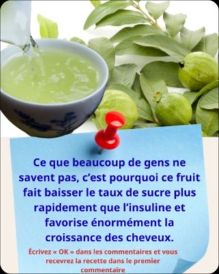 Le Secret Oublié de la Goyave : Révélez des Cheveux Éclatants et une Glycémie Stable avec Ces 4 Recettes Incroyables !