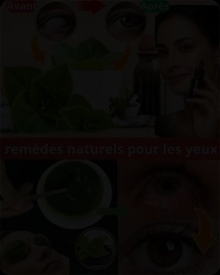 Le Secret Caché pour une Vision Parfaite : Cette Plante Méconnue Fait Trembler les Ophtalmologues et Pourrait VOUS Faire Jeter Vos Lunettes !