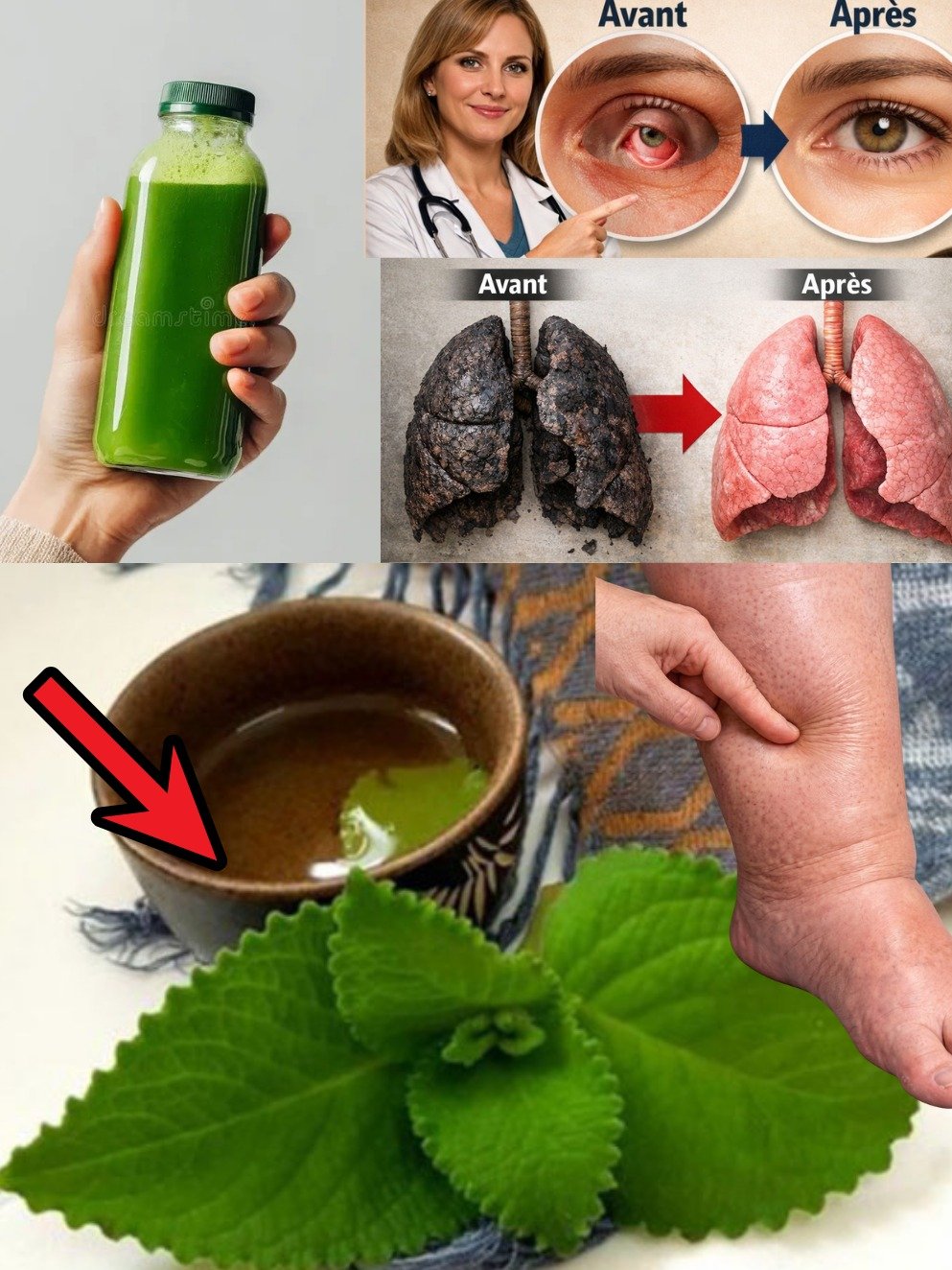 Le Secret Oublié : Cette SEULE Feuille Quotidienne Peut RÉSOUDRE 25 Problèmes de Santé ! Ne Manquez Pas Ça !