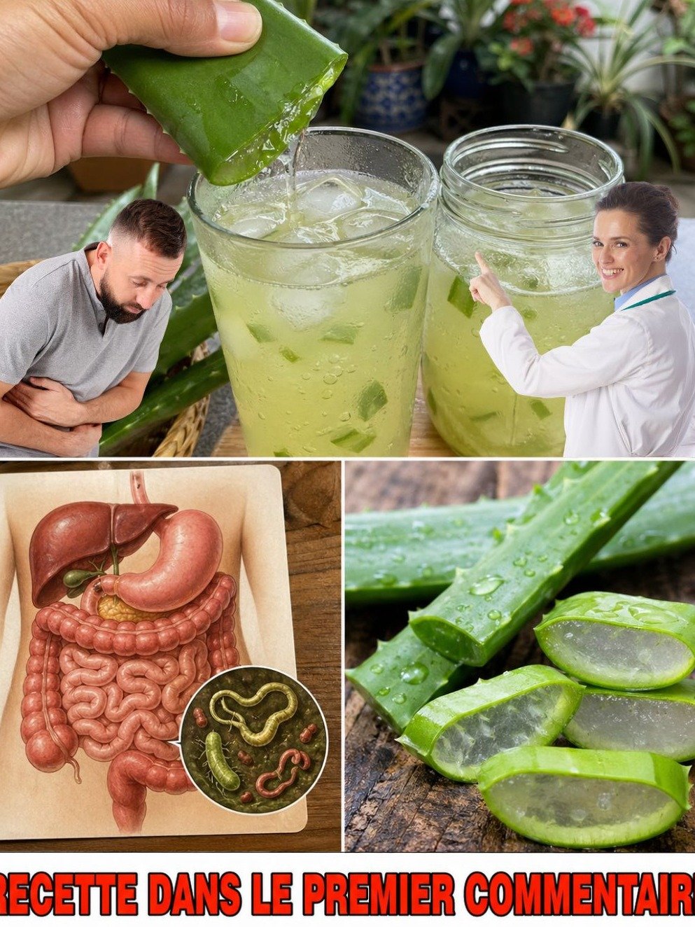 Le Secret Révélé : Cette Plante ANCIENNE est 150 FOIS Plus Puissante que l'Ail et le Citron Contre les Infections ! (La Recette Qui Va Changer Votre Vie)