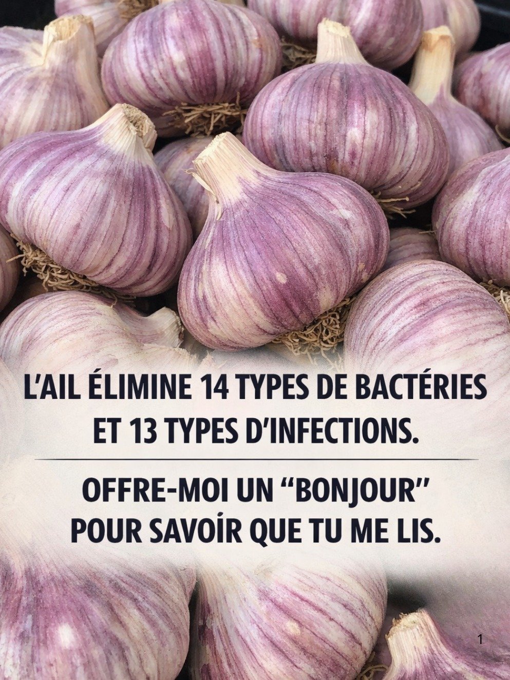 Oubliez les Antibiotiques ! Ce Super-Aliment Millénaire Démolit Bactéries et Virus Sans Effets Secondaires !