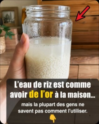 Le Secret Beauté que VOUS Jetez Tous les Jours : Transformez Votre Peau et Vos Cheveux avec ce Rituel Naturel Millénaire (Ne le Manquez Pas !)