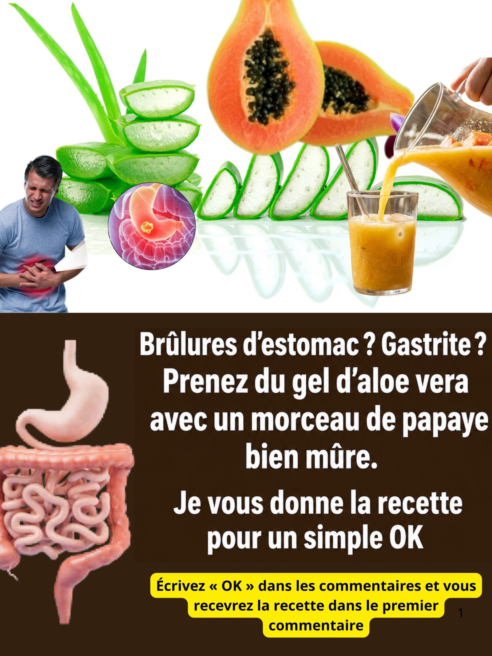 Gastrite & Reflux: Le Duo Naturel Ultime Papaye-Aloe Vera Que Votre Estomac Réclame (Ne Passez Pas à Côté!)