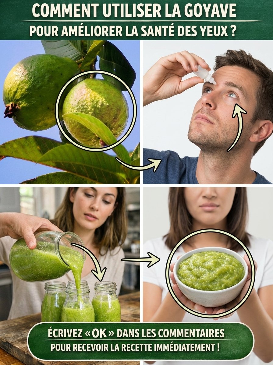 Le Secret Tropical Révélé : 3 Recettes Étonnantes à la Goyave Pour une Vision Éclatante et des Yeux Reposés !