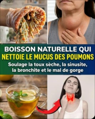 Le Secret Oublié de Votre Grand-Mère : Dites Adieu à la Toux et à la Congestion en 7 Jours avec CETTE Tisane Miraculeuse !