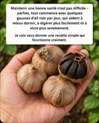 Révélation : Cette Gousse NOIRE Va Transformer Votre Sommeil et Votre Digestion (Le secret bien-être que tout le monde s'arrache !)