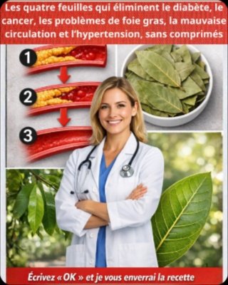Ne Jetez Plus Ces 4 Feuilles ! Leurs Pouvoirs Cachés Vont Transformer Votre Santé et Votre Vie Quotidienne