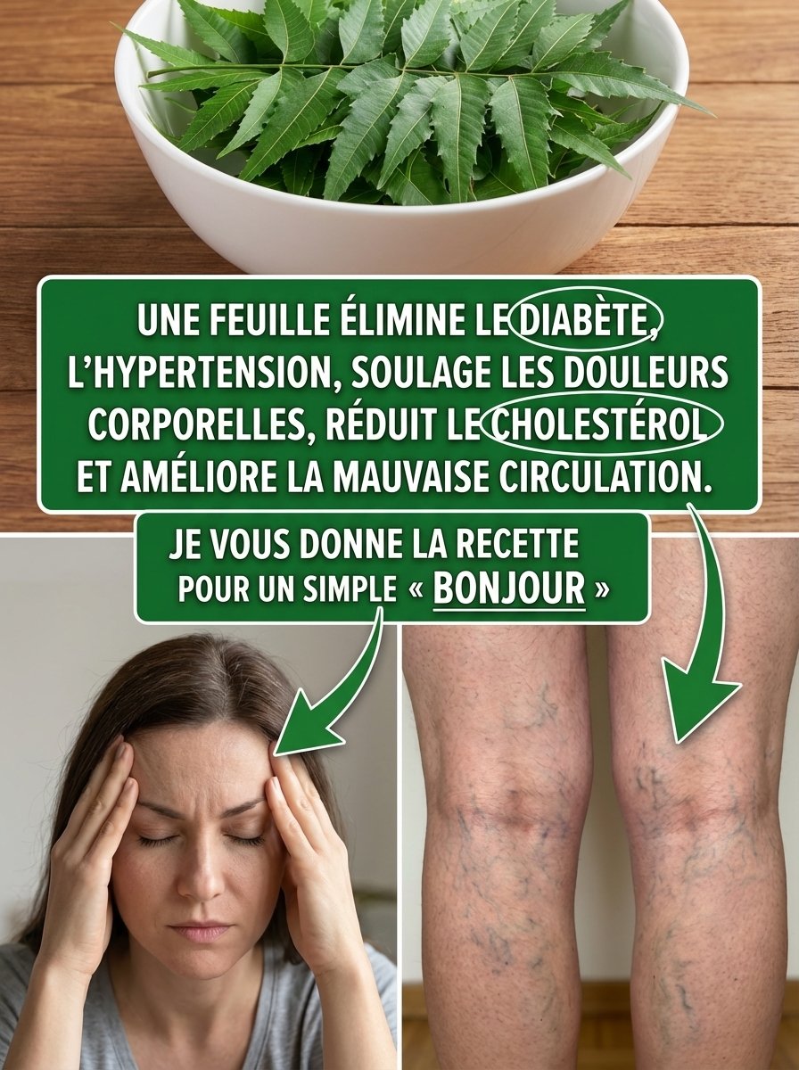 Le Secret Oublié : Cette Feuille Miraculeuse Éradique Diabète, Hypertension et Douleurs ! Ne Manquez Pas Ça !