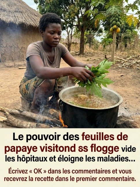 Le Secret Millénaire Révélé : Cette Boisson à Base de Feuilles de Papaye Va Révolutionner Votre Santé en SEULEMENT 7 Jours !