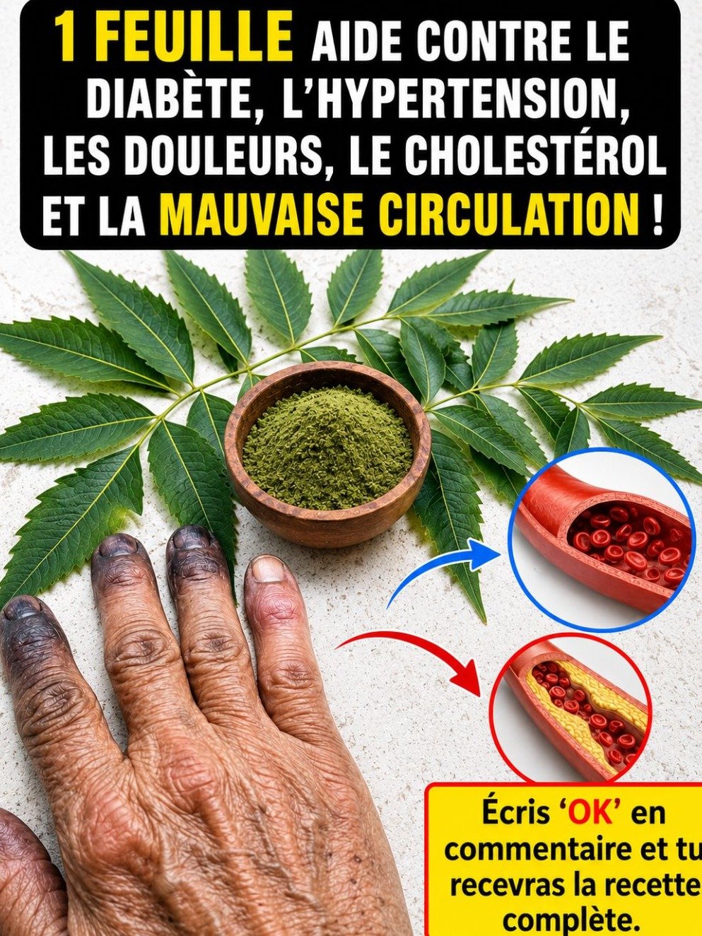 Le Secret Millénaire Révélé : Cette Feuille Oubliée Va Transformer Votre Santé en Profondeur ! 🌿