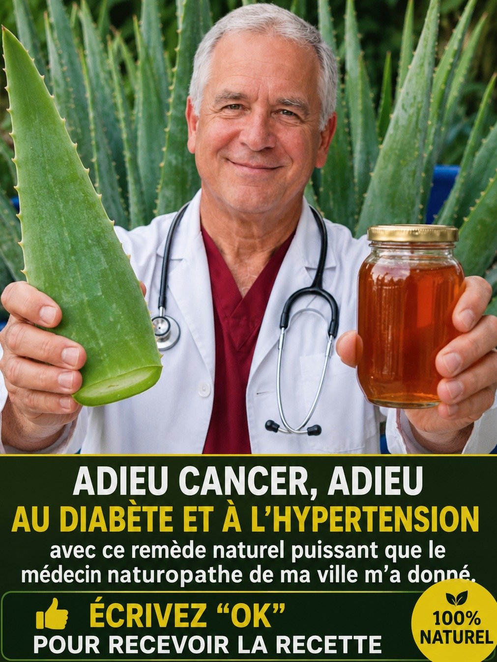 Le Duo Magique Aloe Vera & Miel : La Science Révèle ENFIN Ses Vrais Pouvoirs (Et Démolit les Mythes !) 🌿🍯