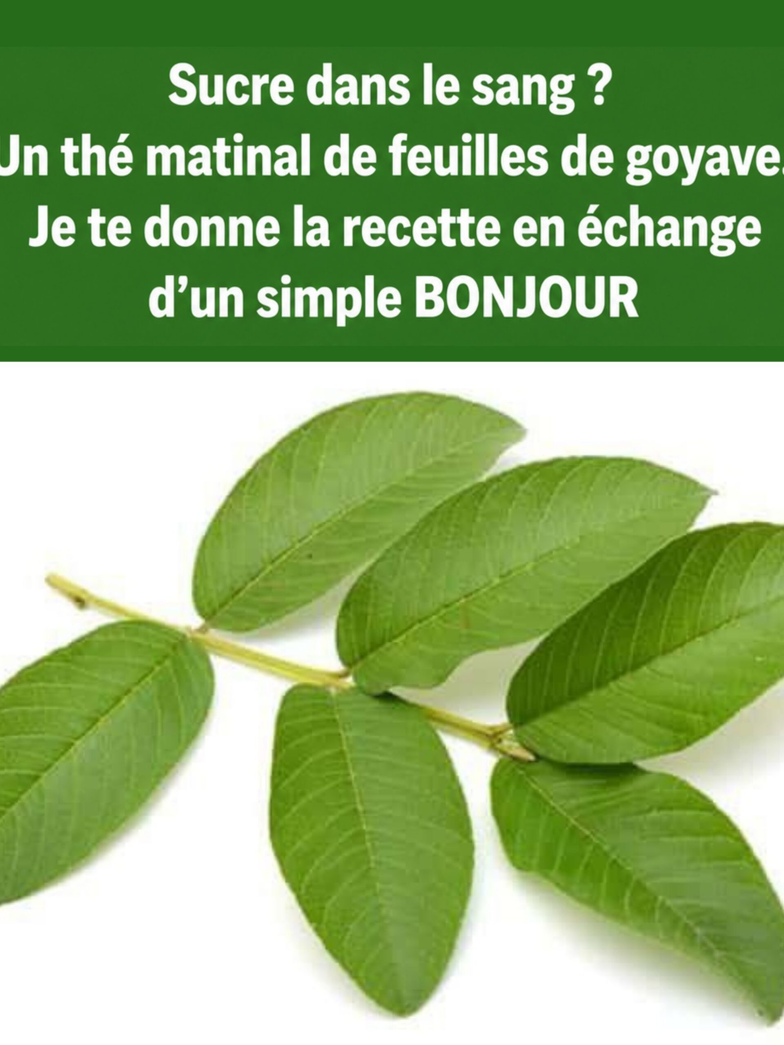 Le Secret Insoupçonné de la Goyave : Peut-elle VRAIMENT Éliminer le Sucre de Votre Sang ? La Vérité Choc Révélée !