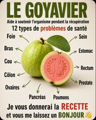 Le Secret Méconnu du Thé aux Feuilles de Goyavier : Ce que les Plus de 60 Ans Doivent Absolument Savoir pour une Vitalité et une Digestion Incroyables !