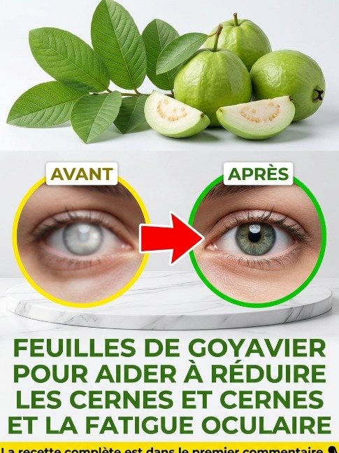 Révélation Choc : Ce Fruit Tropical Est LE Bouclier Ultime pour Vos Yeux (Ne Passez Pas à Côté !)