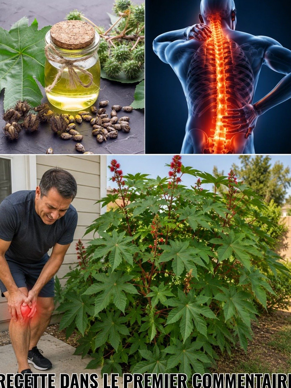 Ne Passez Plus À Côté ! Le Trésor Vert Caché Dans Votre Jardin Va Transformer Votre Santé (Et Vous Ne Le Saviez Pas)