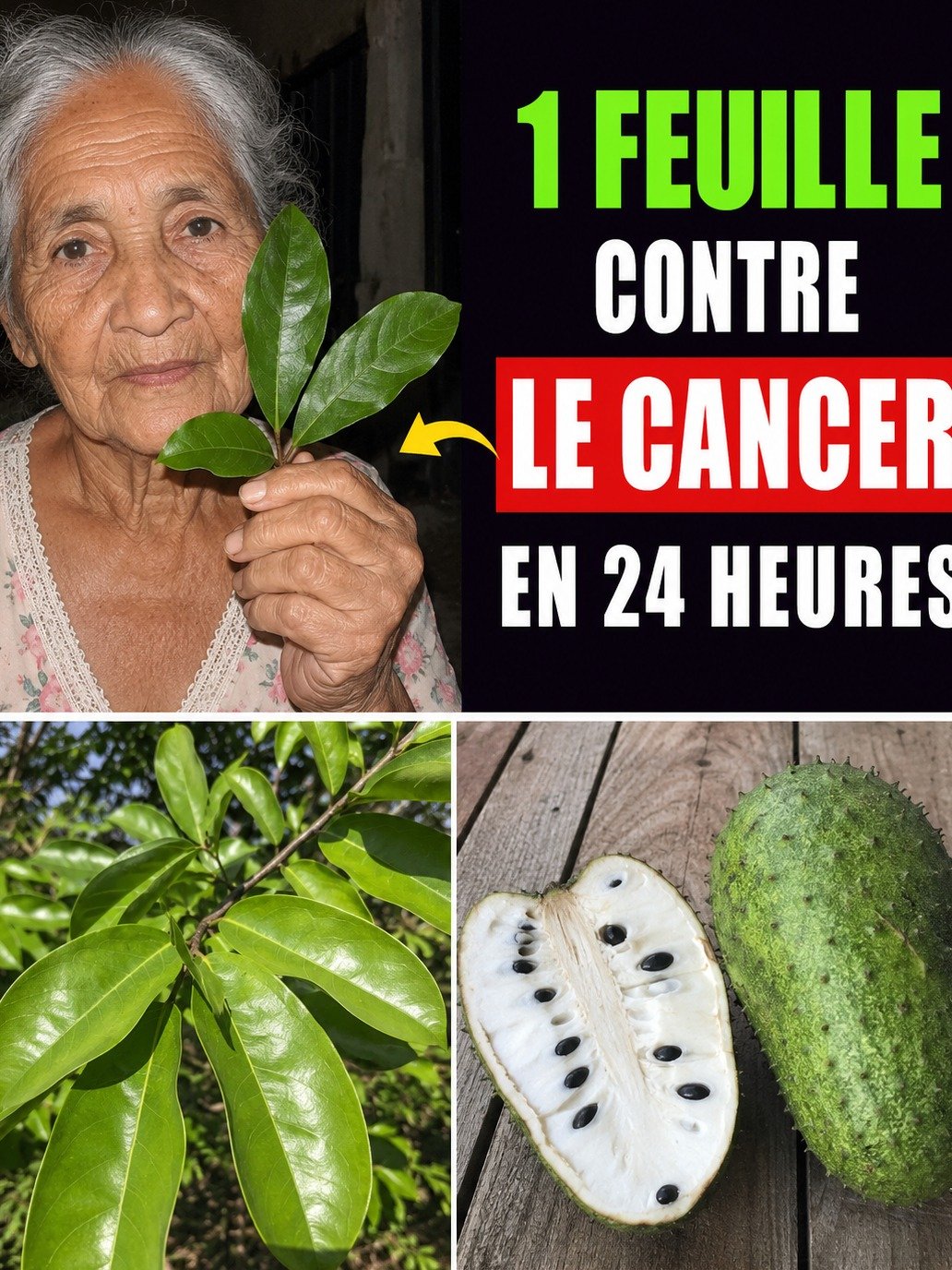 Le Secret Anti-Cancer Que Les Pharmacies Vous Cachent : Cette Feuille Étonnante Dévore Les Cellules Malignes ! Le Remède Naturel de Barbara O'Neill Révélé.