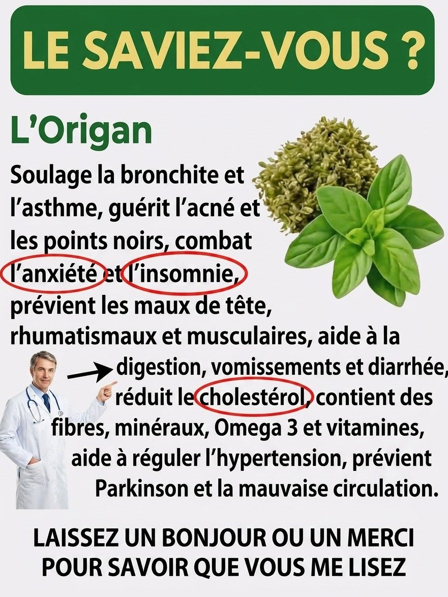 Le Trésor Insoupçonné Qui Dort Chez Vous : Cette Plante Quotidienne Cache Des Pouvoirs Incroyables Pour Votre Santé !