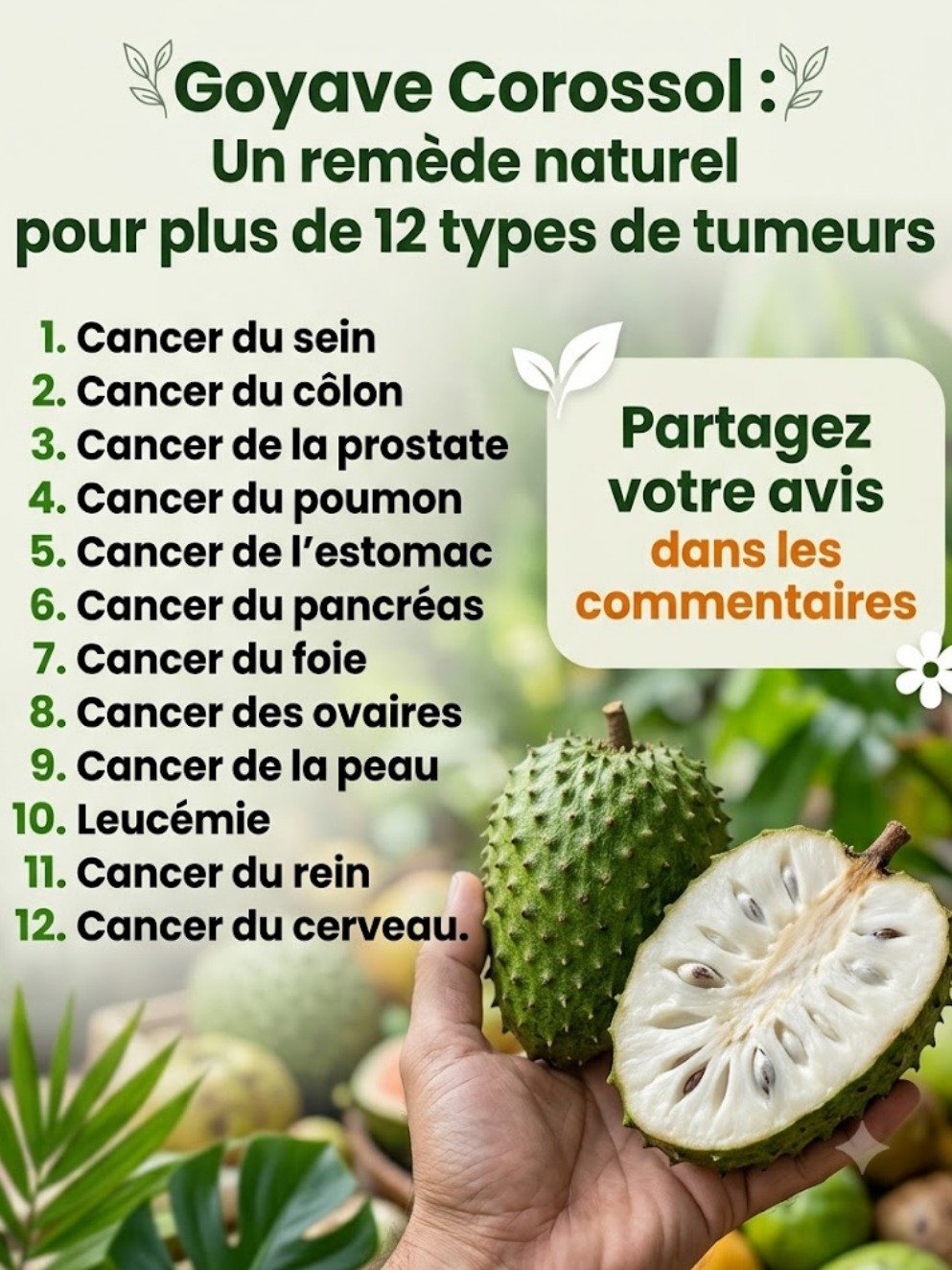 Le Graviola : Le Fruit Tropical dont TOUT LE MONDE parle ! Ce que la Science Révèle VRAIMENT (et la Recette de Smoothie Ultime à ne pas manquer)