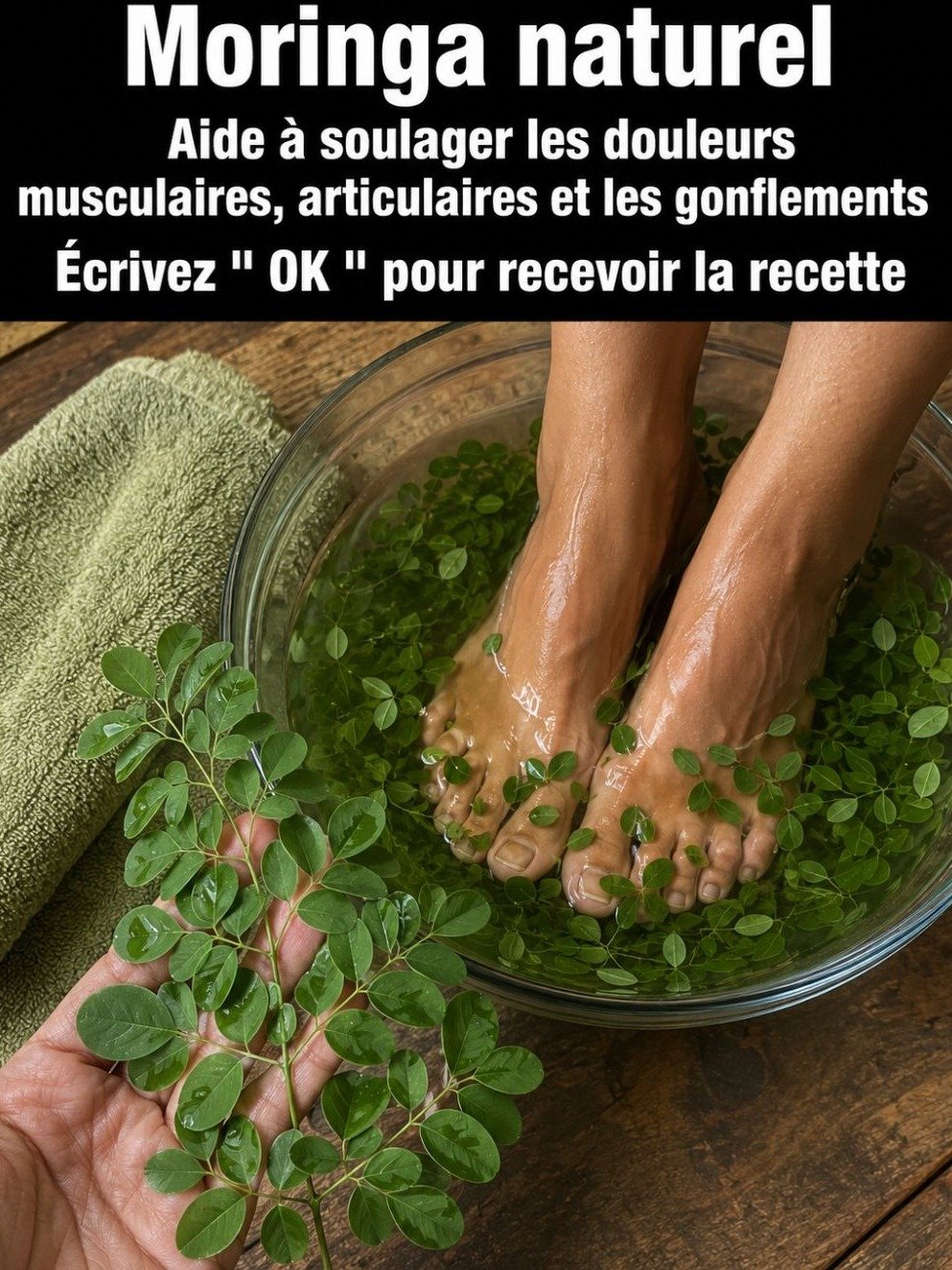 Le Secret Millénaire du Moringa: Comment Il Cible ENFIN Vos Douleurs Musculaires, Articulaires et la Goutte à la Source (Avant Qu'il Ne Soit Trop Tard) !