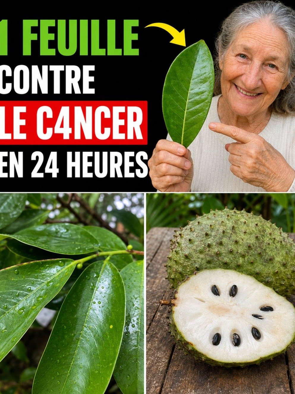 Le Secret Choc : Cette Feuille Puissante Annihile les Cellules Cancéreuses ! Barbara O'Neill Révèle ce que les Pharmacies Vous Cachent.