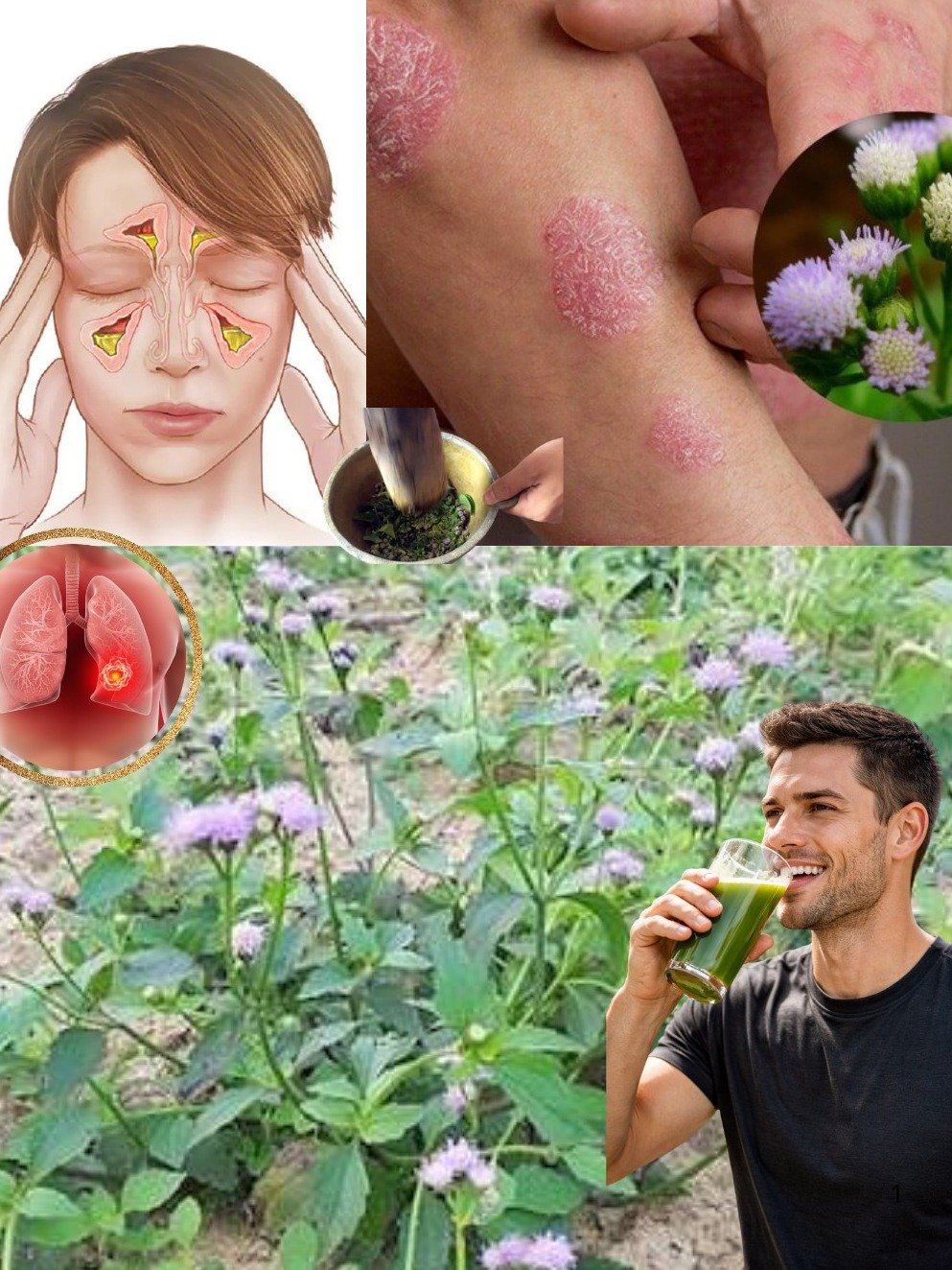 Ne Jetez Plus Cette "Mauvaise Herbe" ! Ses 7 Secrets Révolutionnaires Vont Transformer Votre Quotidien !