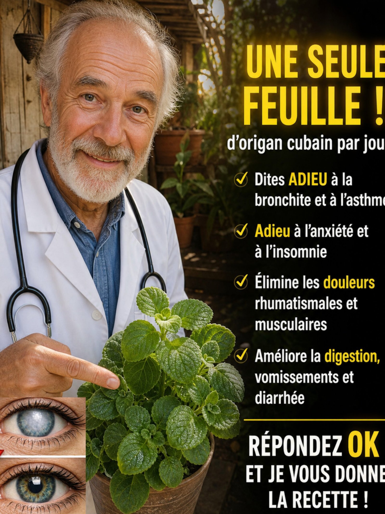 Le Secret Millénaire pour une Vue Parfaite : Ce Super-Aliment Naturel Que Vous Devez Connaître ABSOLUMENT !