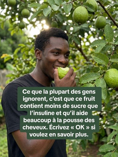 Le Secret Tropical Anti-Hyperglycémie : Ce Fruit Va Révolutionner Votre Glycémie (Et Votre Santé) !