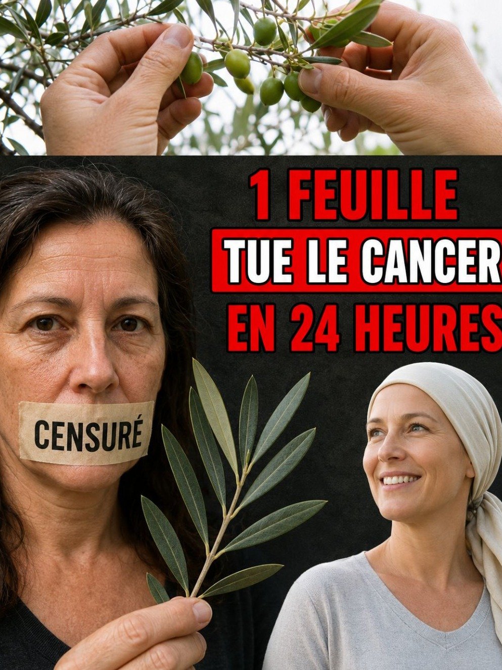 La Feuille Oubliée Qui Bouleverse la Santé : 7 Secrets Que Personne Ne Vous Dit (Et Que VOUS Devez Savoir MAINTENANT)