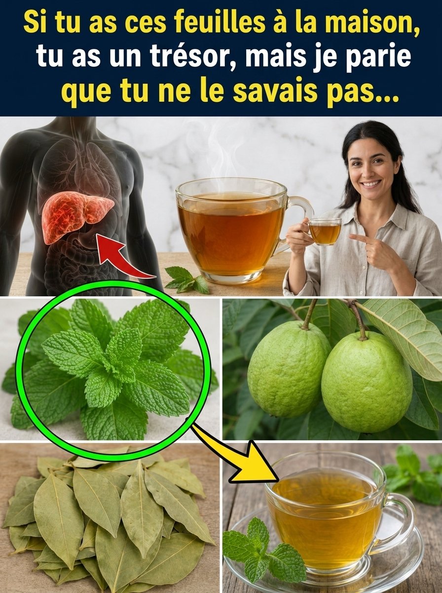 Ce Secret de 3 Feuilles Va Révolutionner Votre Foie et Votre Tension... Et Personne Ne Vous En Parle !