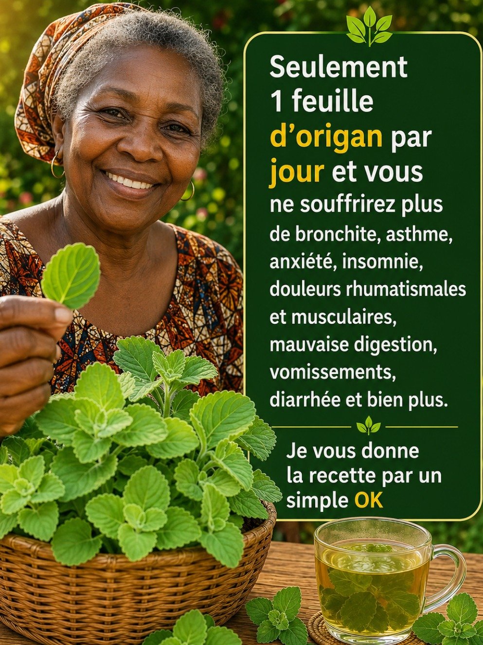 Le Secret d'UNE Seule Feuille Par Jour : Dites Adieu aux Maux et Réveillez Votre Santé avec l'Origan Cubain !