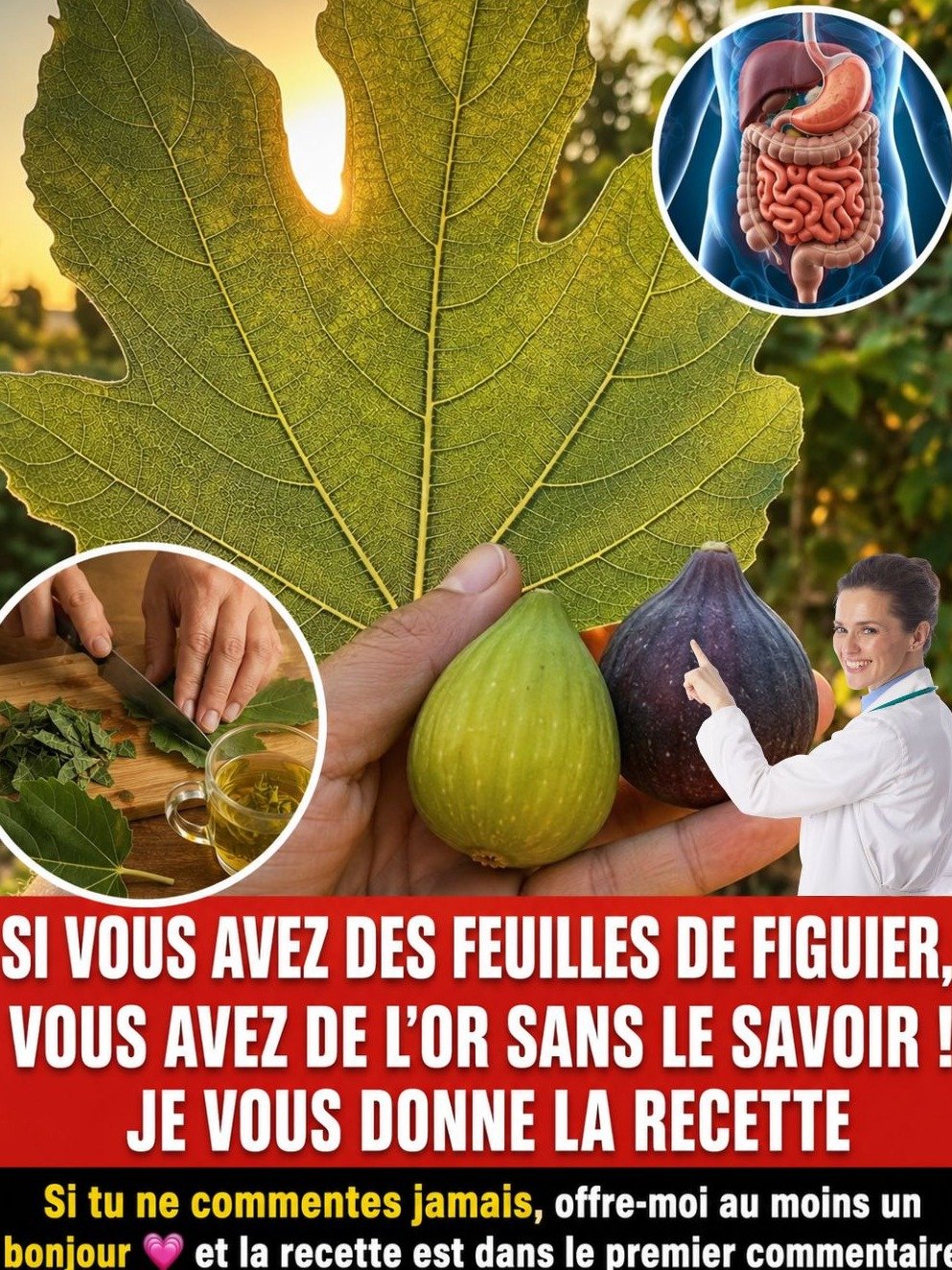 10 BIENFAITS ÉPOUSTOUFLANTS des Feuilles de Figuier : Le Super-Aliment QUE VOUS DEVEZ CONNAÎTRE D'URGENCE !